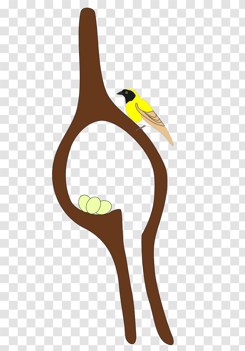 Beak Flightless Bird Yellow - Wing Transparent PNG