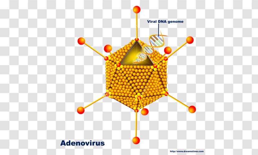 Adenoviruses Image Pharyngitis Adeno-associated Virus - Hepatitis - Double Helix Transparent PNG