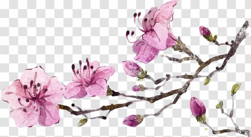 Flower Drawing Computer File - Branch - Hand-painted Peach Transparent PNG