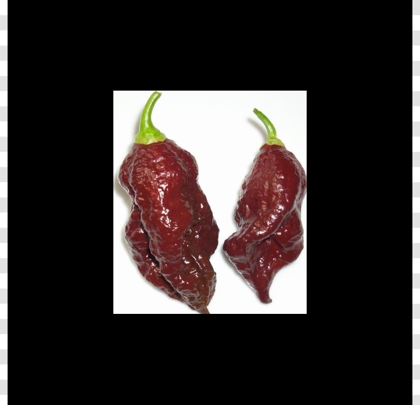 Habanero Bhut Jolokia Chili Pepper Scoville Unit Capsicum Annuum Transparent PNG