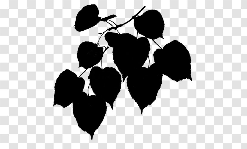 Silhouette Fruit - Rose Family Transparent PNG