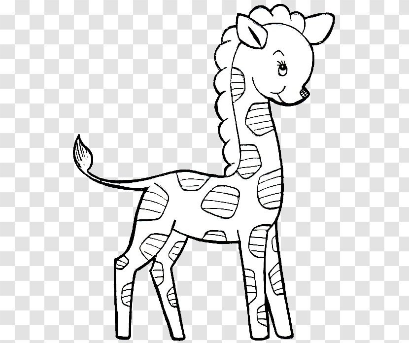 Drawing Image Coloring Book Northern Giraffe Child - Terrestrial Animal Transparent PNG