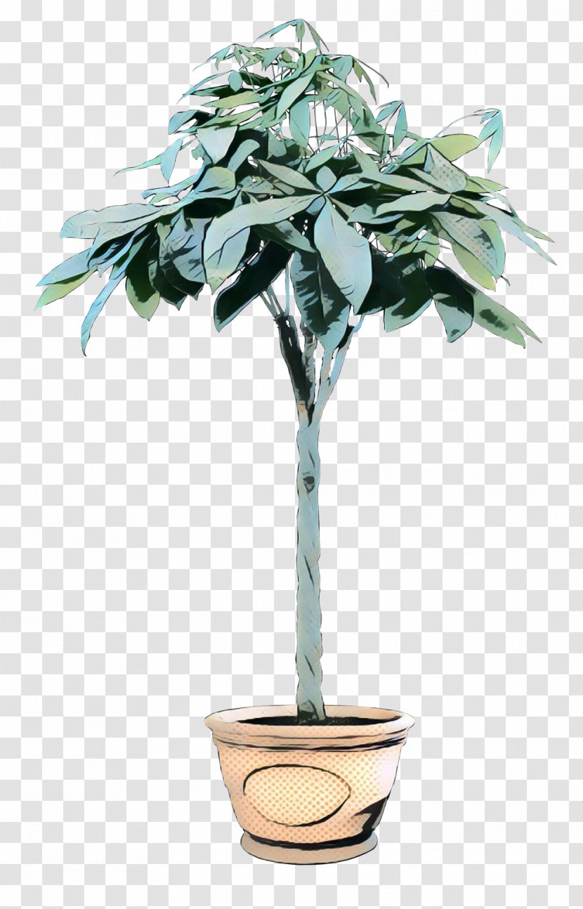 Flowerpot Tree Houseplant Plant Stem Plants - Jade Flower Transparent PNG