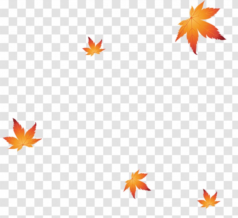 Image Maple Leaf Vector Graphics - Amarelo Design Element Transparent PNG