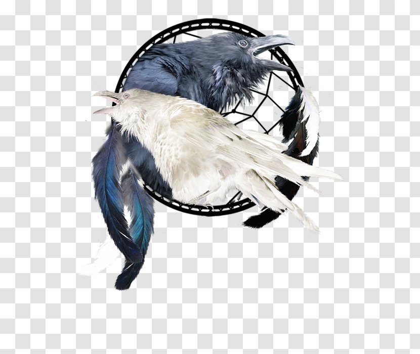 Headgear - Raven Transparent PNG