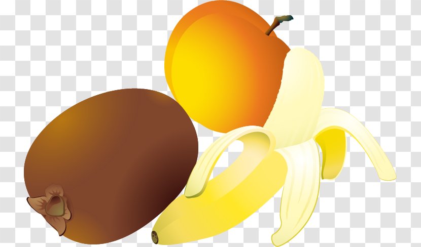 Kiwifruit Apple Clip Art - Diet Food - Apricot Banana Kiwi Fruit Vector Material Transparent PNG