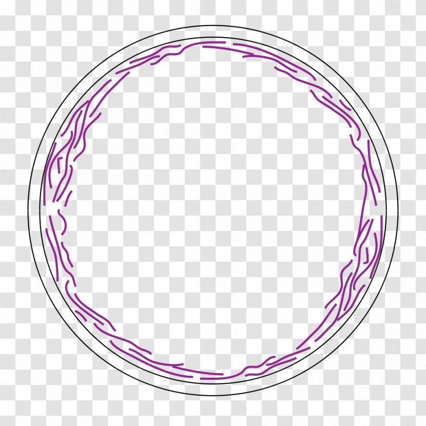 FtsZ Divisome Bacteria Cell Division - Physcomitrella Patens - Filament Transparent PNG