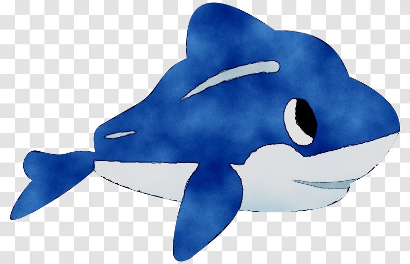 Common Bottlenose Dolphin Marine Biology Cartilaginous Fishes - Oceanic - Electric Blue Transparent PNG