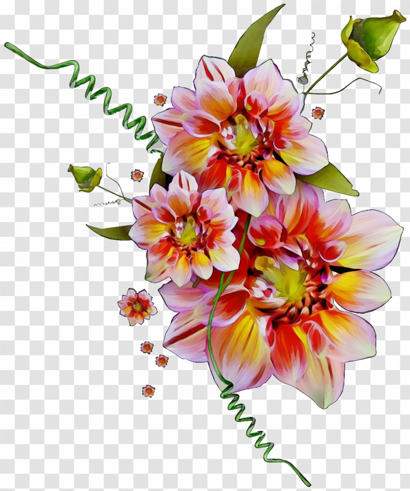 Floral Design Transparent PNG