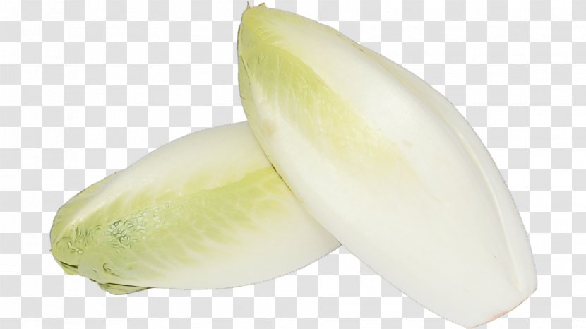 Vegetable Food Plant Endive Transparent PNG