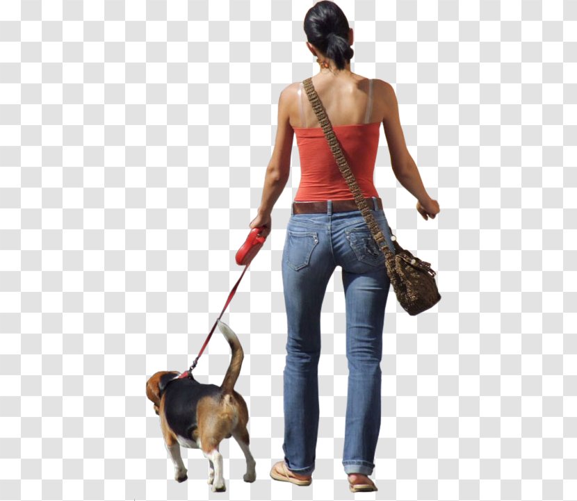 Dog Walking Clip Art - Obedience Training - Photo Of People Transparent PNG