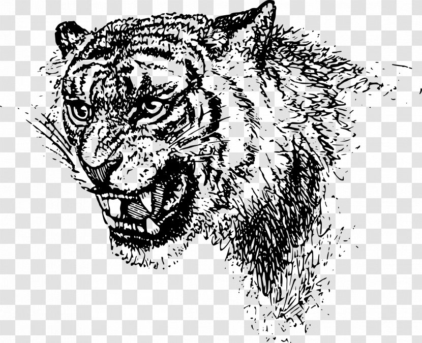 Tiger Felidae Lion Clip Art - Black And White - Head Transparent PNG