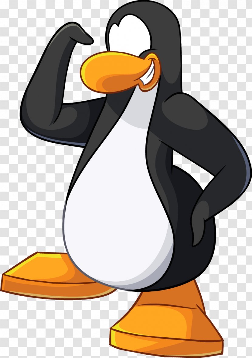 Club Penguin Clothing Pronto Blog - Bird Transparent PNG