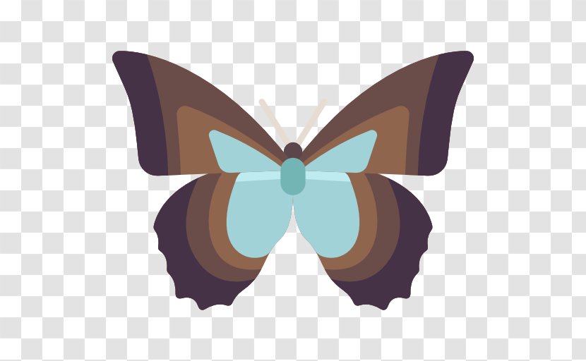 Brush-footed Butterflies Butterfly Moth - Invertebrate - Icon Transparent PNG