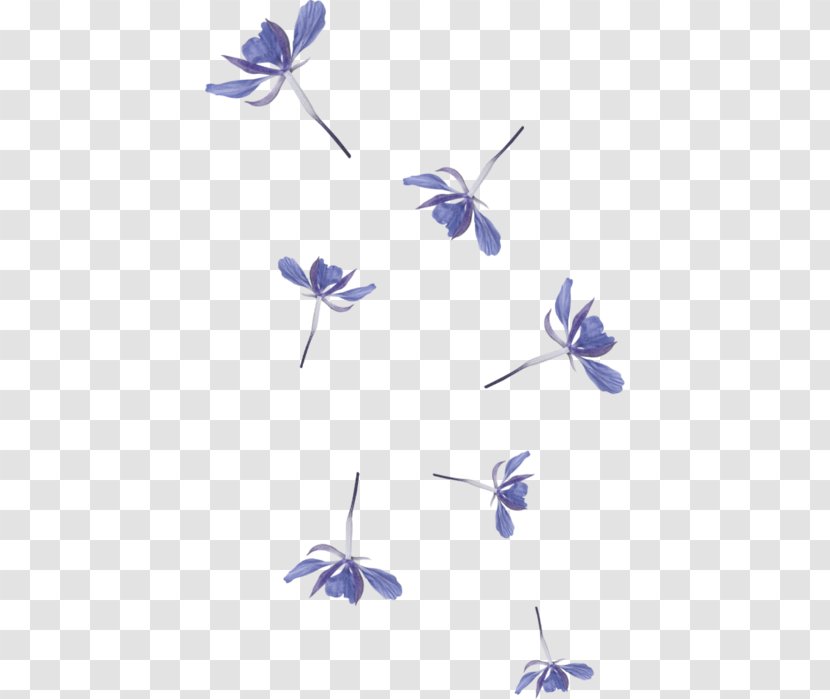 Flower Petal Clip Art - Wing Transparent PNG