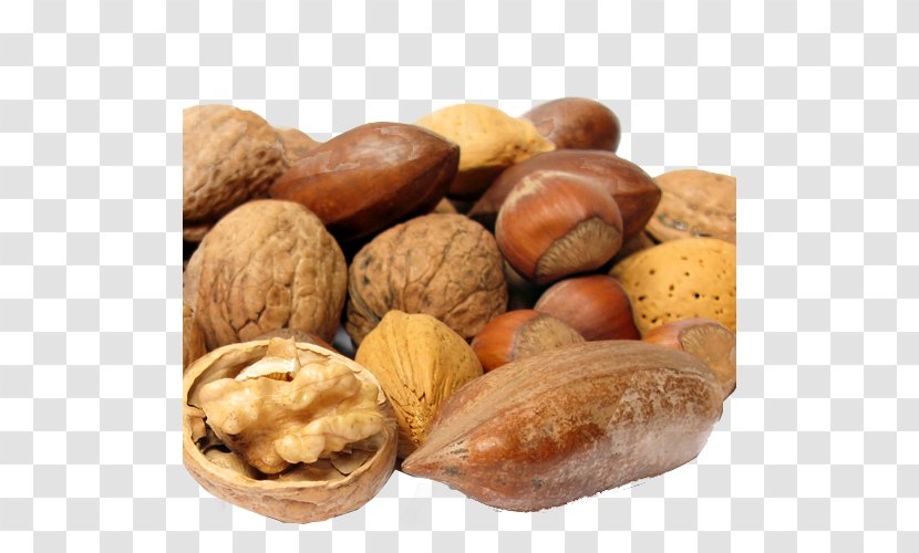 Dried Fruit Food Eating Health Lifestyle - Tree Nuts Transparent PNG