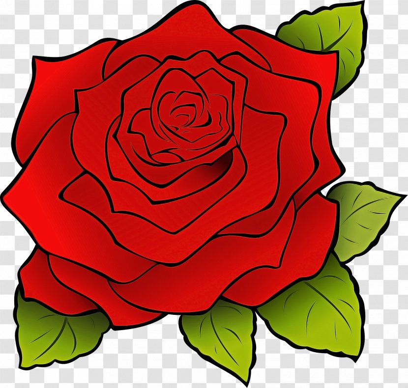 Garden Roses - Rose - Floribunda Plant Transparent PNG
