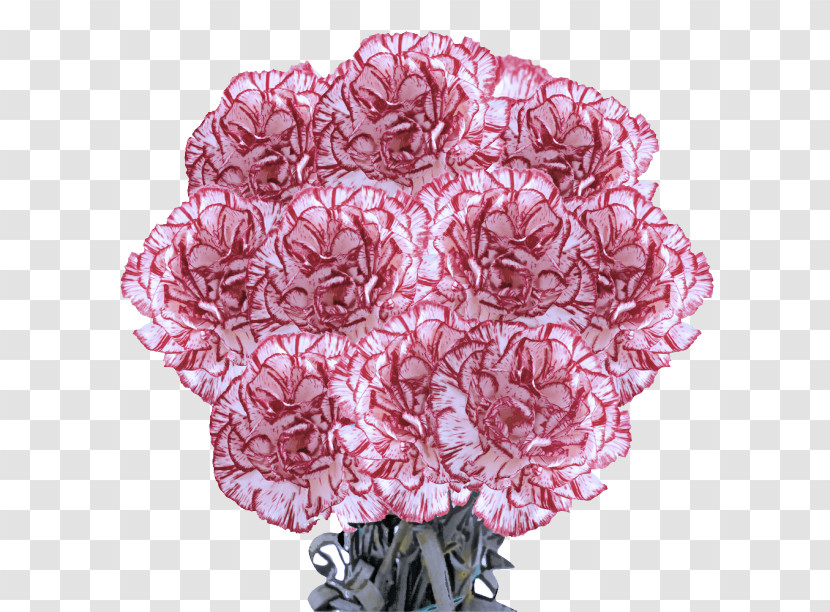 Floral Design Transparent PNG