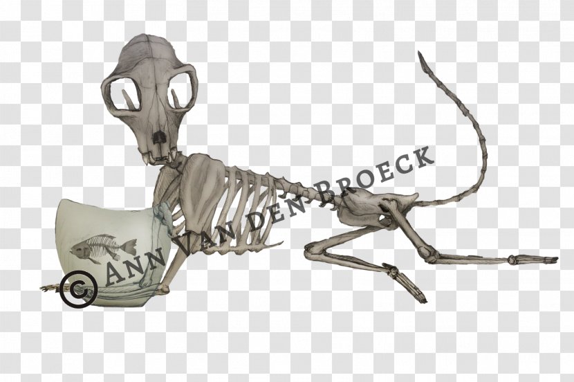 Carnivores Skeleton - Horn - Crazy Bonez Cat Transparent PNG