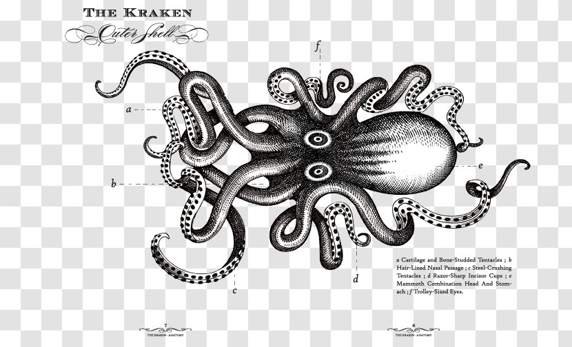 Kraken Rum Sea Monster Octopus - Organism - Logo Transparent PNG