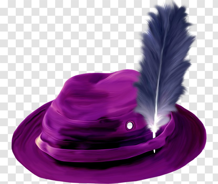 Photography Violet Hat Clip Art - Picture Frames Transparent PNG