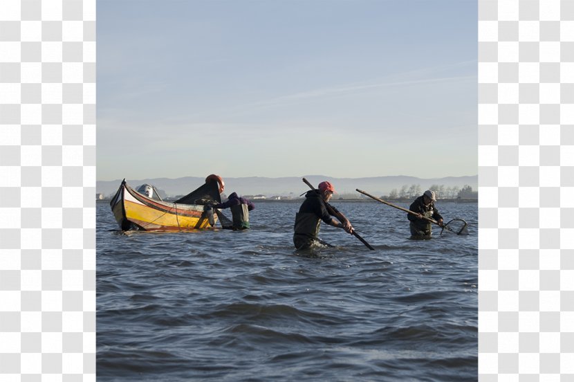 Sea Kayak Canoe Paddle Oar Transparent PNG