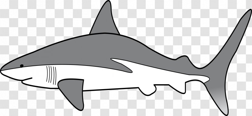 Requiem Sharks Clip Art Grey Reef Shark Threat Display Transparent PNG