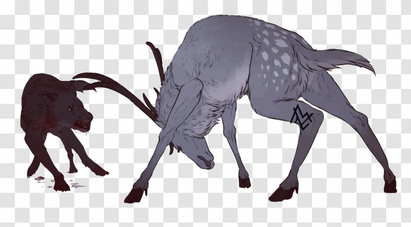 Deer Gray Wolf Canidae Hunting - Wildlife - Vector And Transparent PNG