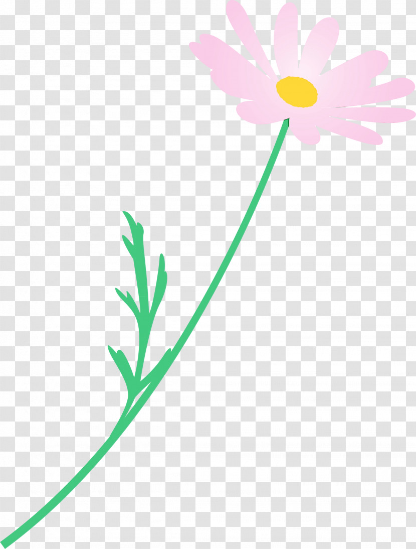 Daisy Transparent PNG