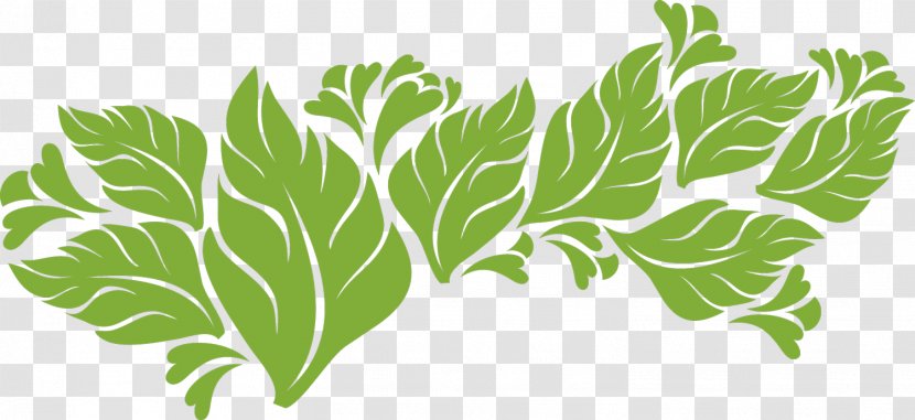 Leaf Vegetable Plant Stem Science Wallpaper - MOTIF Transparent PNG