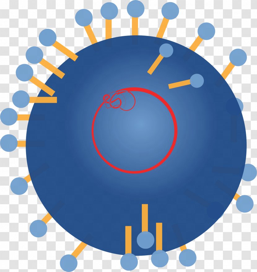 Clip Art - Virus - Rna Transparent PNG