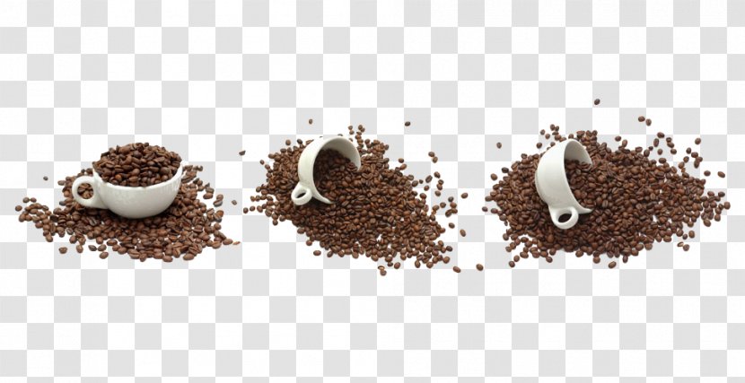 Coffee Polyandry Polygyny Love Breakup - Bean - Cup Inside Beans Transparent PNG