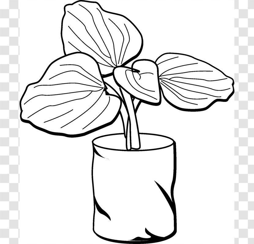 Floral Design Cut Flowers Plant Stem Leaf Line Art - Tree - For Get Me Not Transparent PNG