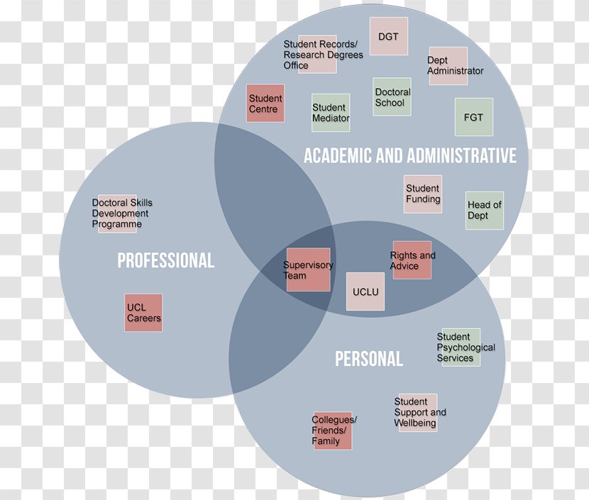 Doctorate Student Research Doctor Of Philosophy Skill - Diagram Transparent PNG