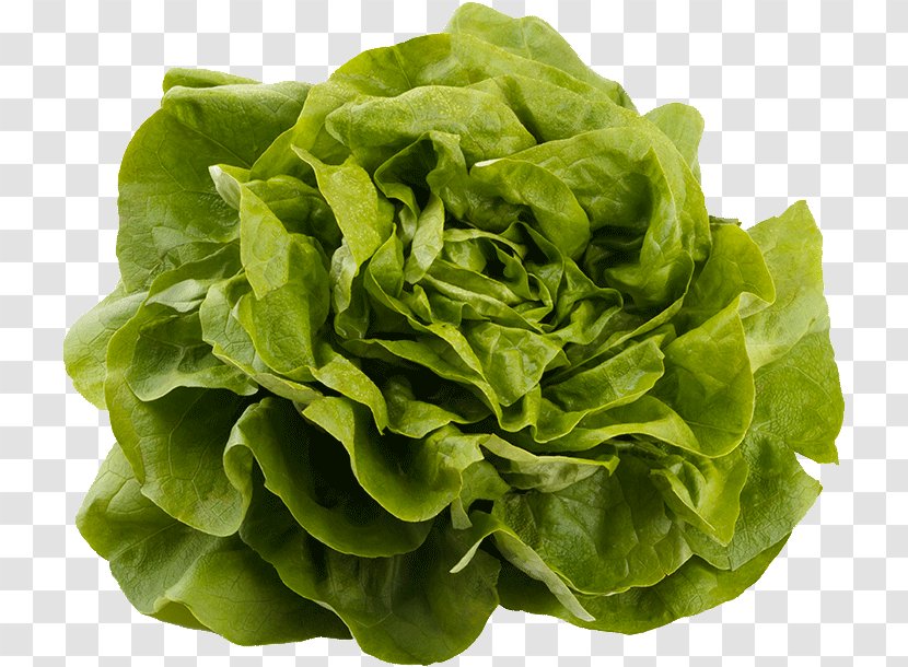 Leaf Vegetable Food Lettuce Iceburg - Spinach Flower Transparent PNG