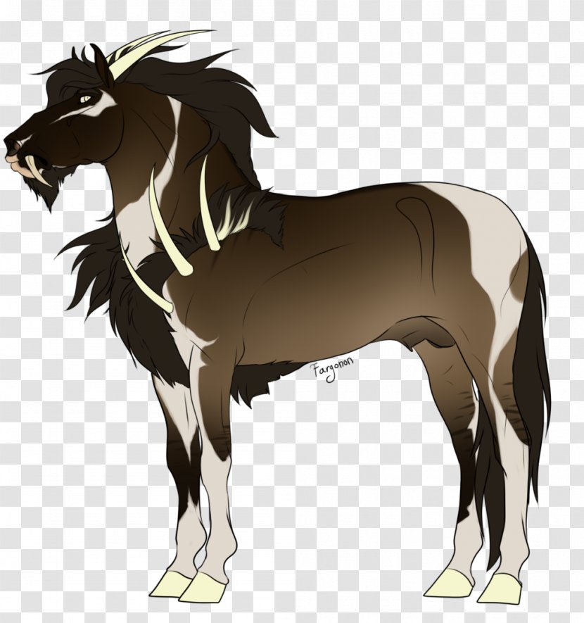 Mustang Foal Stallion Colt Mare Transparent PNG