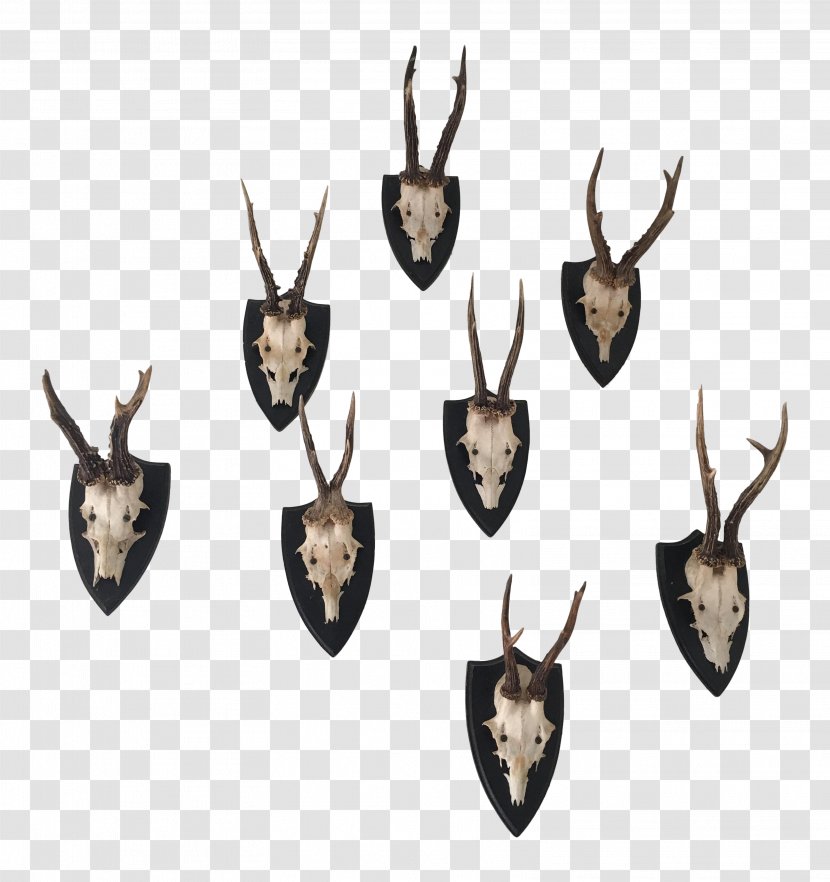 Roe Deer Antler Black Forest Elk - Commemorative Plaque - Antlers Transparent PNG