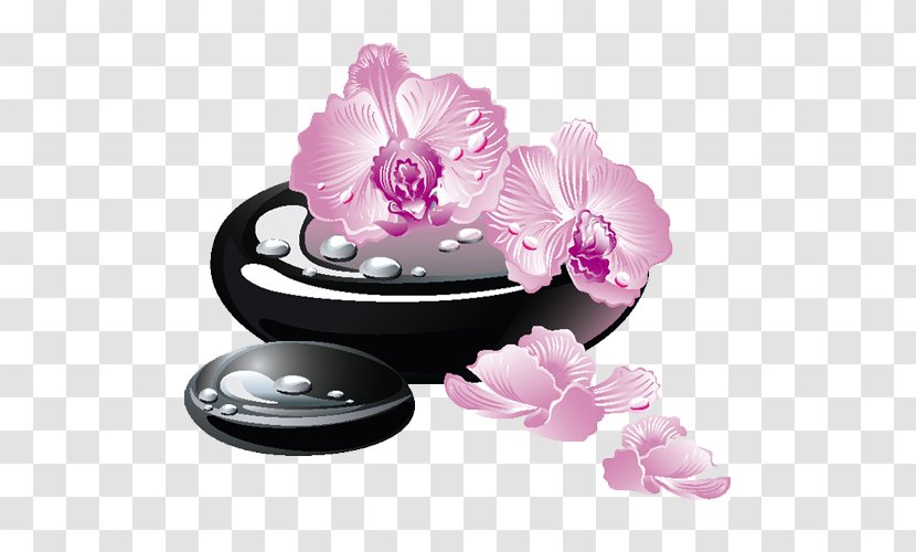 Stone Massage Rock Day Spa Illustration - Beauty Parlour - Stones And Lotus Transparent PNG