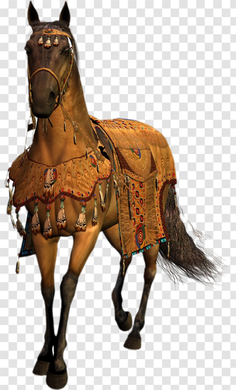 Middle Ages Horse Harnesses Mustang Stallion Blog - Tack Transparent PNG