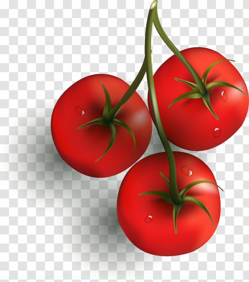 Cherry Tomato Vegetable Capsicum Chili Con Carne Clip Art - Pepper Transparent PNG