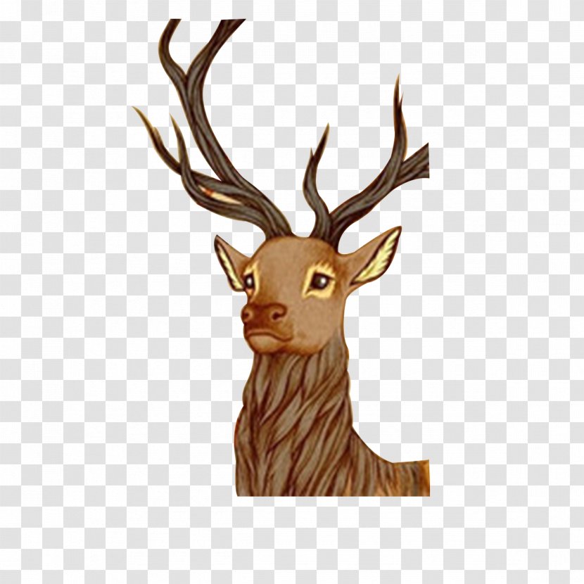 Reindeer Red Deer - Horn Transparent PNG