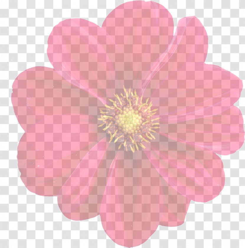 Dahlia Flower Plant Clip Art - Yandex Search - Flowers Bloom Transparent PNG