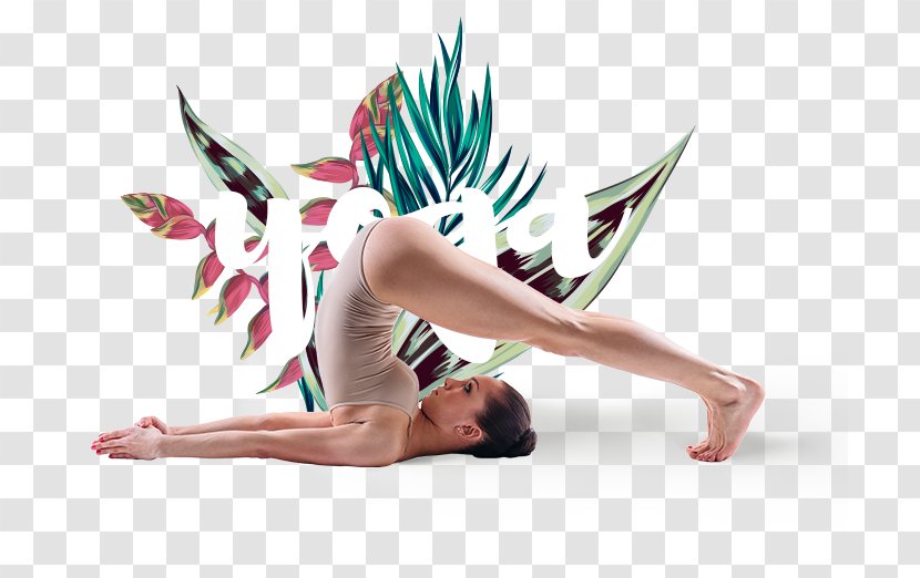 Ashtanga Vinyasa Yoga Hot Hormon-Yoga Bend And Fly - Physical Fitness Transparent PNG