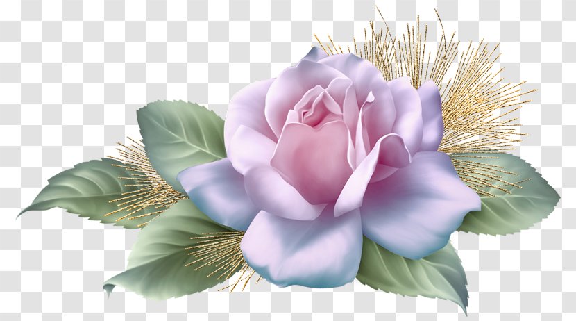 Centifolia Roses Clip Art - Rose - Web Browser Transparent PNG