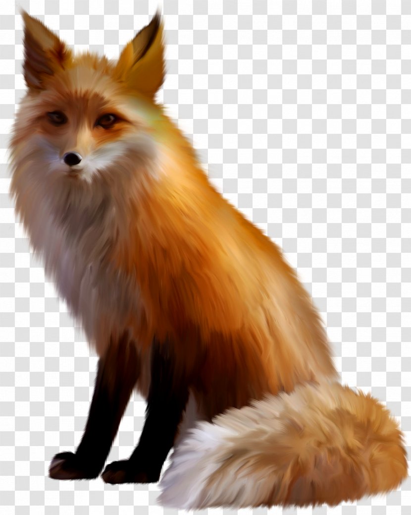 Red Fox Arctic Clip Art - Carnivora Transparent PNG