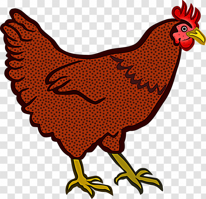 Bird Chicken Rooster Beak Fowl Transparent PNG