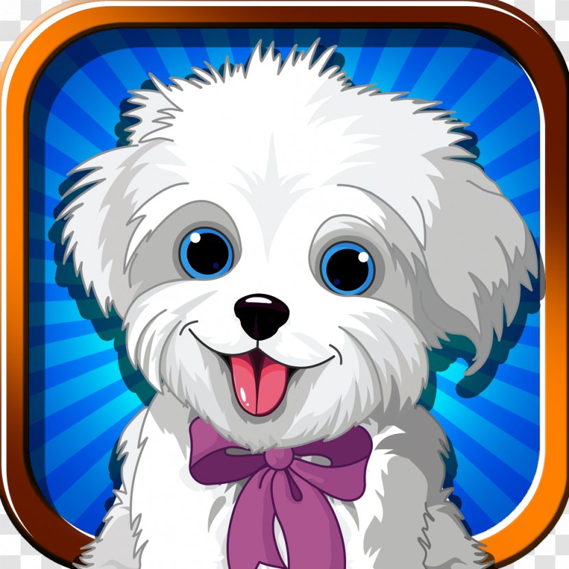 Maltese Dog Bolognese Puppy Havanese Bichon Frise - Flower - Chasing The Ball Transparent PNG