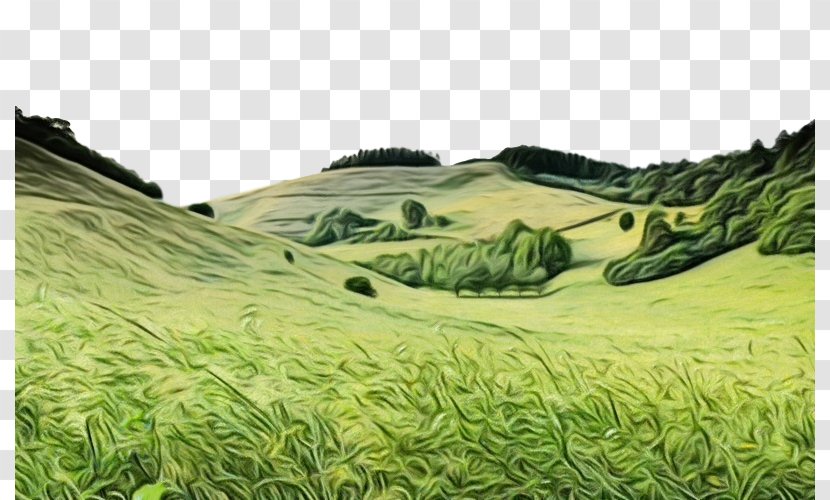 Nature Natural Landscape Grassland Vegetation Grass - Field Highland Transparent PNG