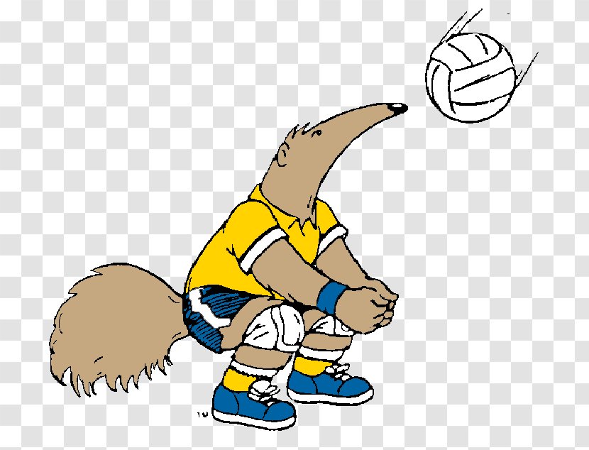 University Of California, Irvine UC Anteaters Men's Basketball Volleyball Clip Art - California - People Playing Transparent PNG