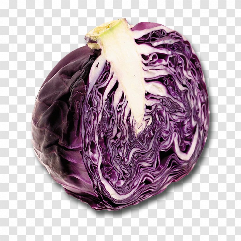 Vegetable Red Cabbage Cocido Recipe Transparent PNG